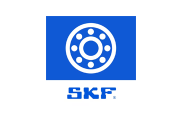 SKF Bearing